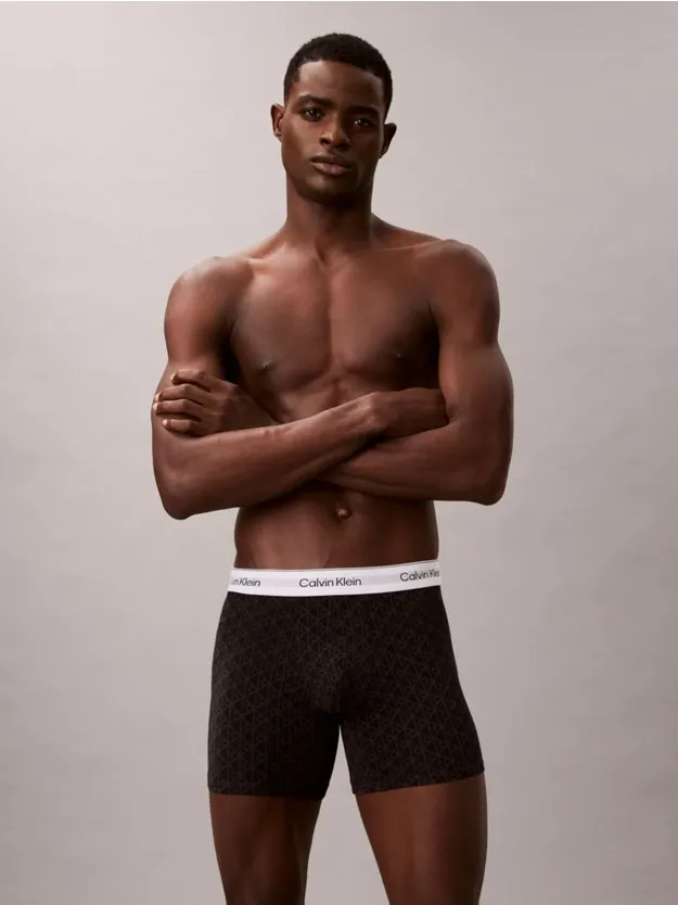 Sleet/Seamless Emblem_Black/Ashford 3 Pack Boxer Briefs - Icon Cotton Stretch